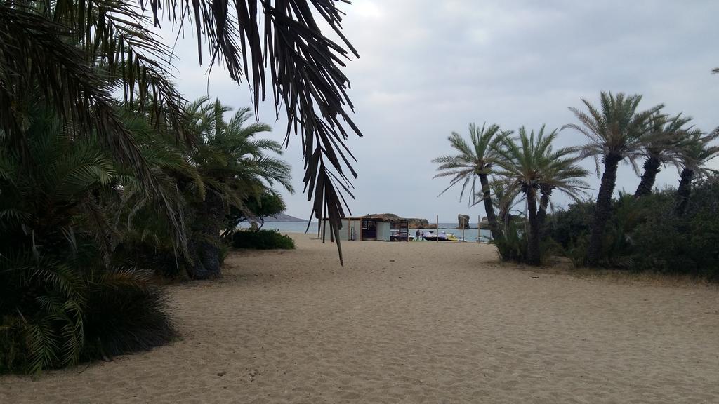 פלקסטרון Flamingo Apartments מראה חיצוני תמונה